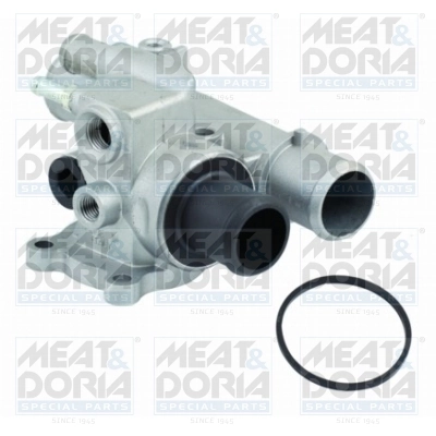 Thermostat, coolant
